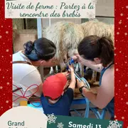 Visite de ferme : Partez à la rencontre des brebis
