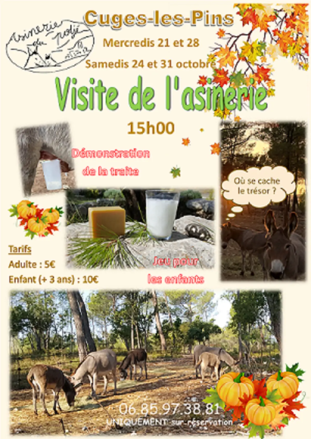 Visite de l'Asinerie du Poljé