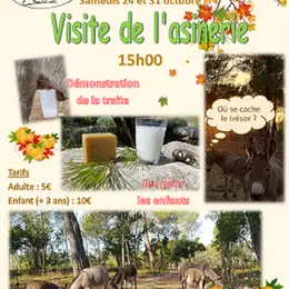 Visite de l'Asinerie du Poljé