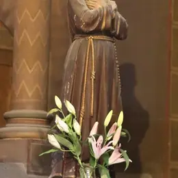 Visite de l'église Saint-Pierre de Mâcon (Focus sur la Nature)