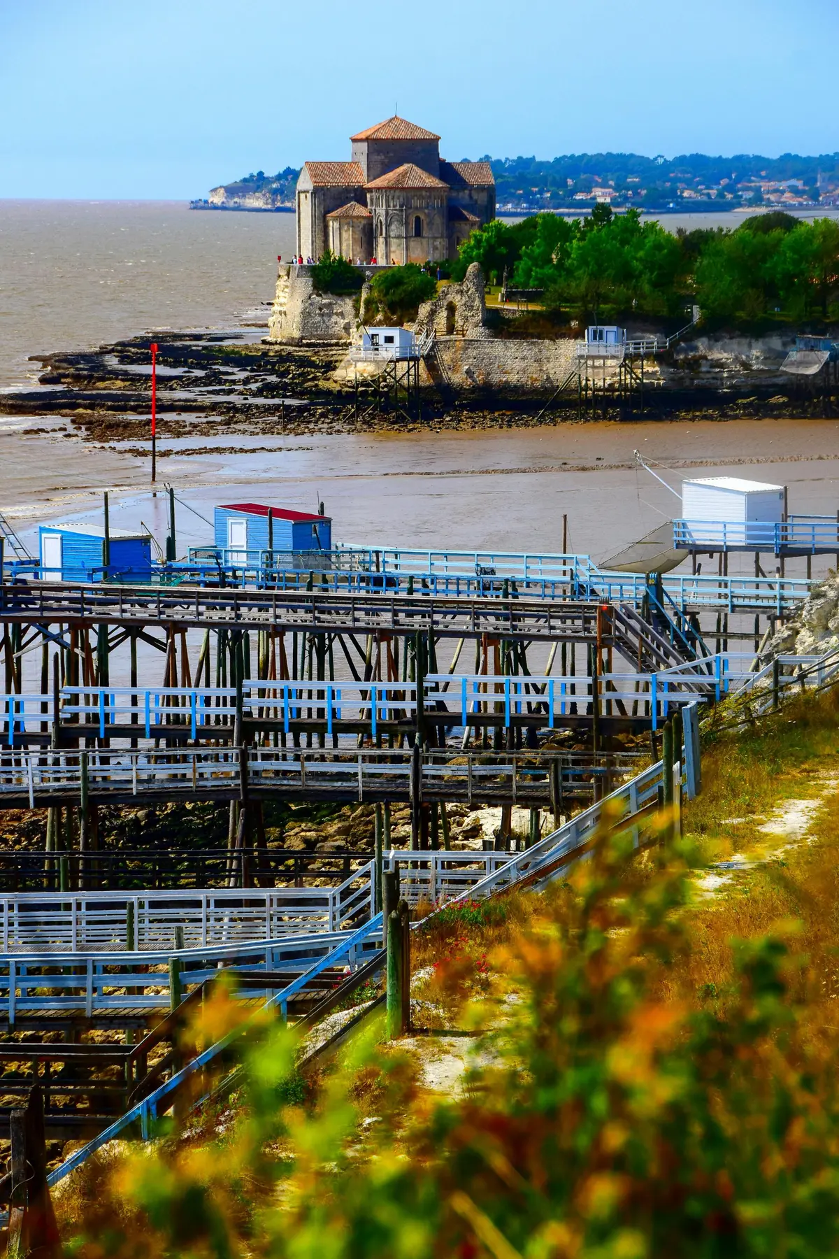 Visite de l'estuaire de la Gironde