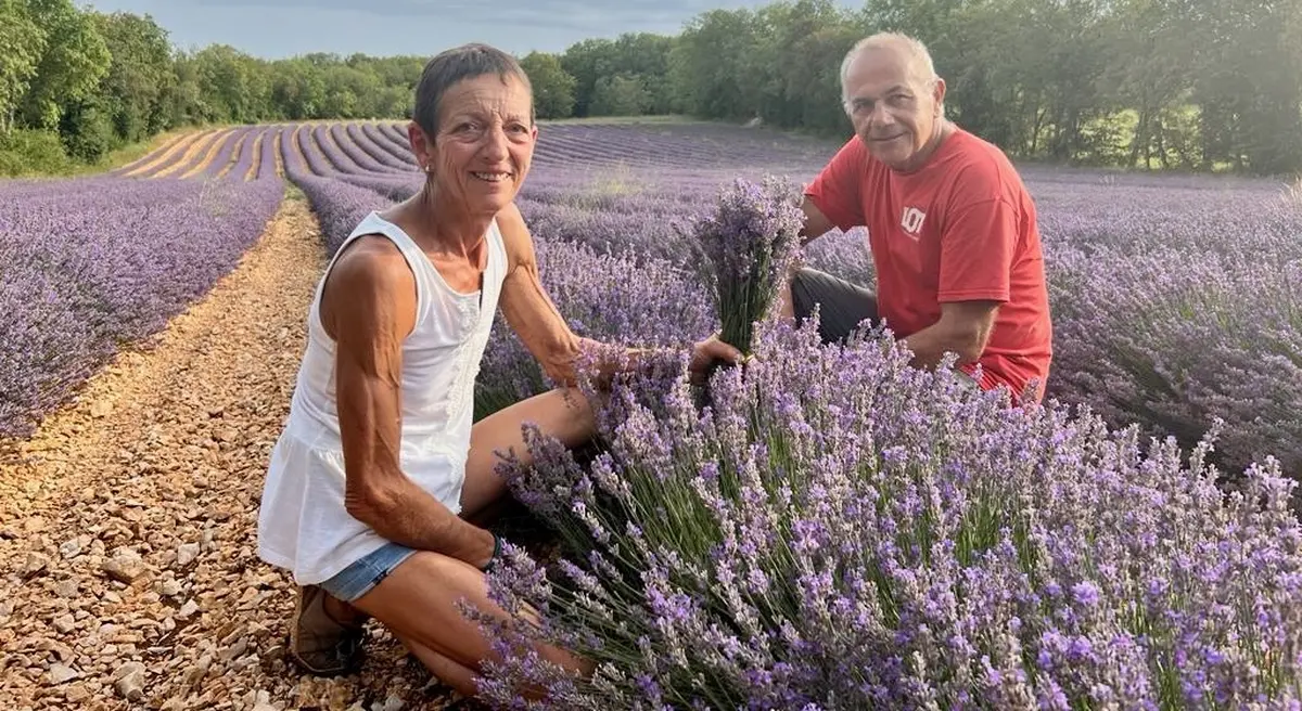 Visite de l'exploitation de lavande bio des Senteurs de Roumégouse