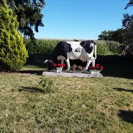 Visite de l'exploitation de vaches laitières