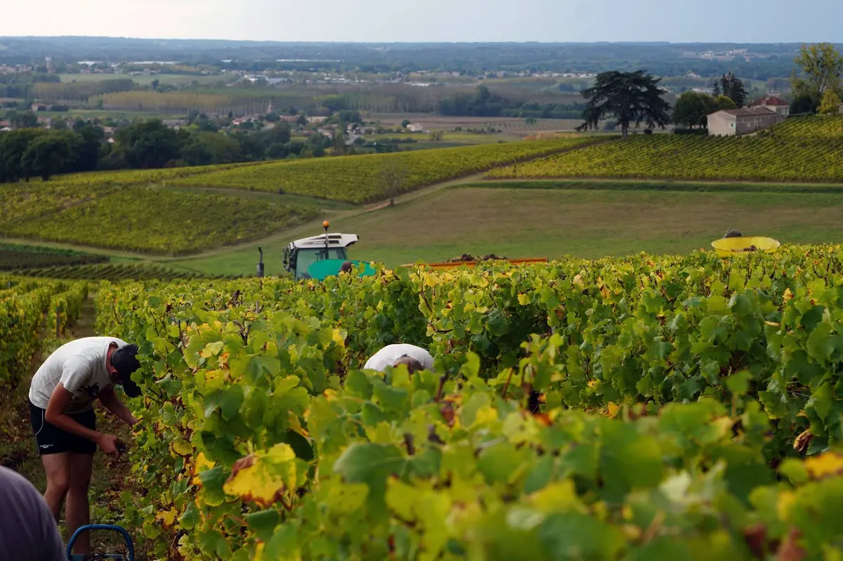 Visite de La Belle Parcelle