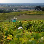 Visite de La Belle Parcelle