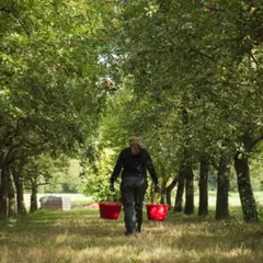 Visite de la cidrerie du Domaine des Pommes d'Armor (22)