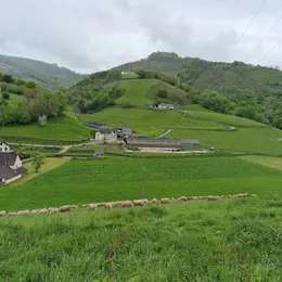 Visite de la ferme Burgubu