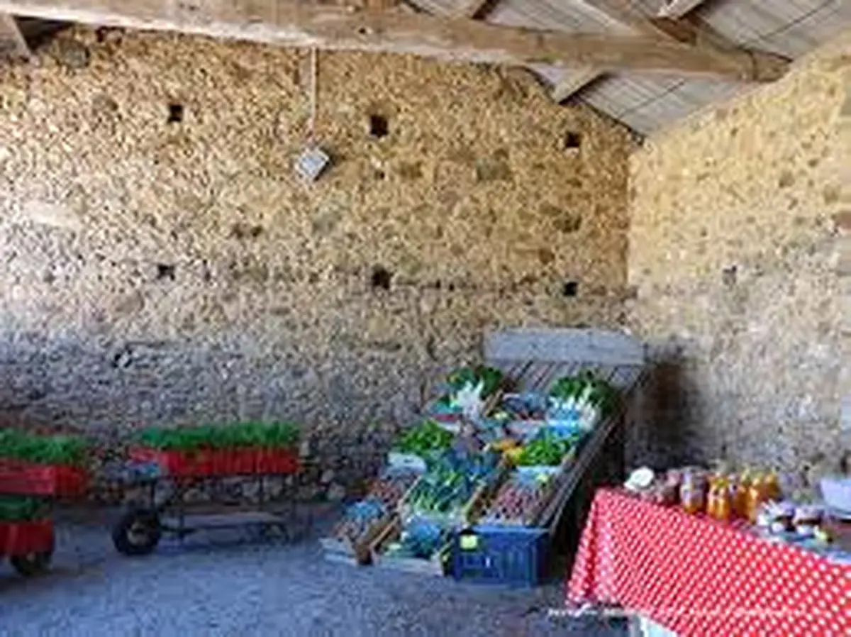 Visite de la ferme de la Riberderie, dans le cadre des Mercredis de l'été, en Airvaudais-Val du Thouet