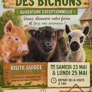 Visite de la Ferme des Bichons
