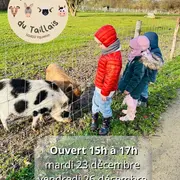 Visite de la ferme du Taillais - sans réservation