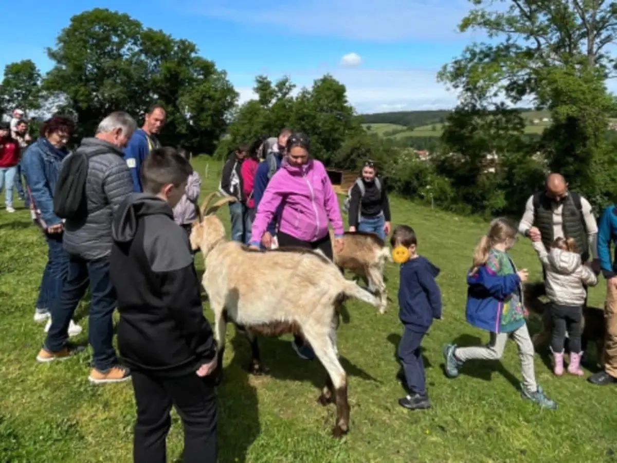 Visite de la ferme et rencontre avec les animaux à St-Denis (42)