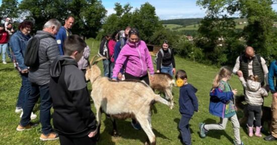 Visite de la ferme et rencontre avec les animaux &agrave; St-Denis (42)