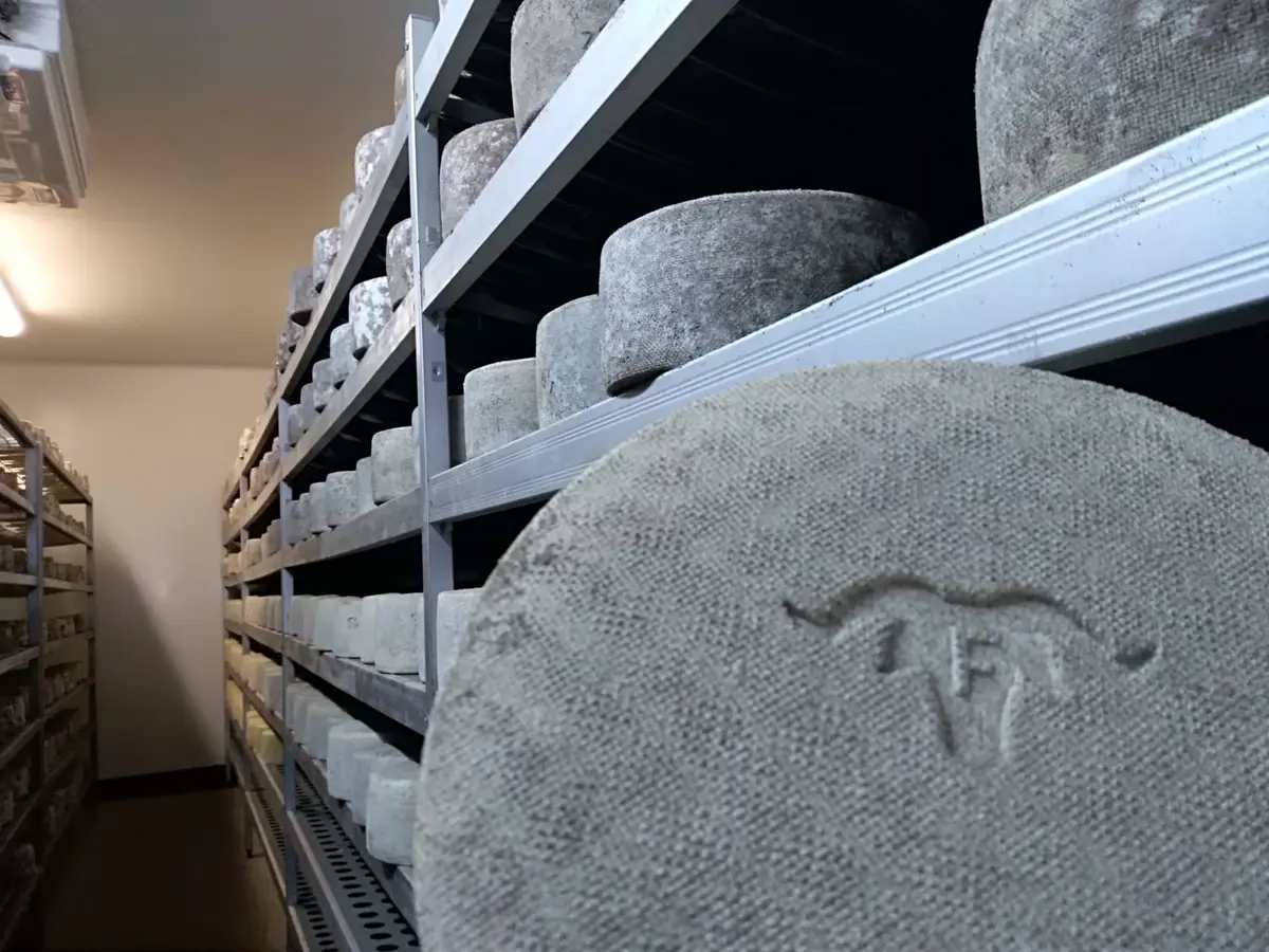 Visite de la ferme Etxepareborda