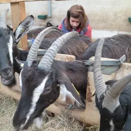 Visite de la ferme la kabane à kabris