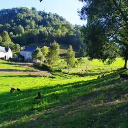 Visite de la ferme la kabane à kabris