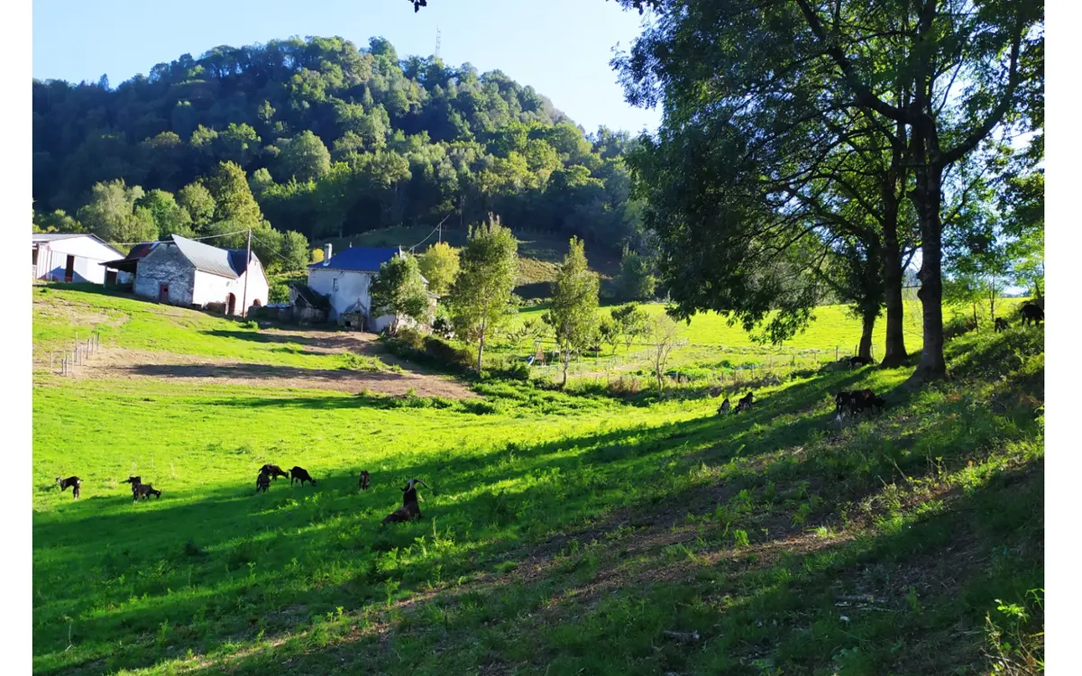 Visite de la ferme la kabane à kabris