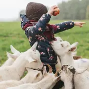 Visite de la ferme pédagogique de Monsieur Seguin & goûter (01)