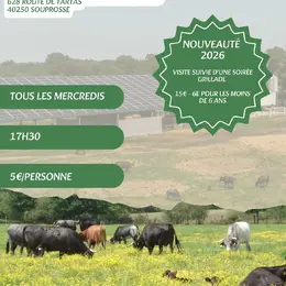 Visite de la Ganadéria du Vert Galant