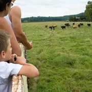 Visite de la ganaderia Maynus