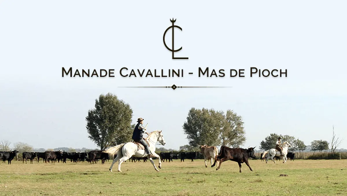 Visite de la Manade Cavallini