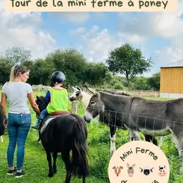 Visite de la mini-ferme du Taillais à poney