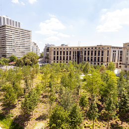 Visite de la place de Catalogne: d'un rond-point minéral à une forêt urbaine