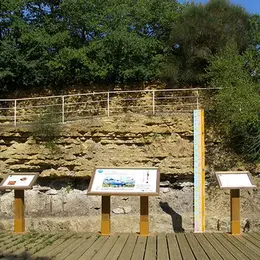 Visite de la Réserve Naturelle Nationale du Toarcien