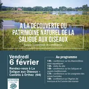 Visite de la saligue aux oiseaux