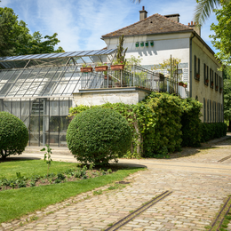 Visite de la serre et conseils pour vos plantes d'intérieur