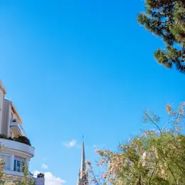 Visite de la Ville de Printemps