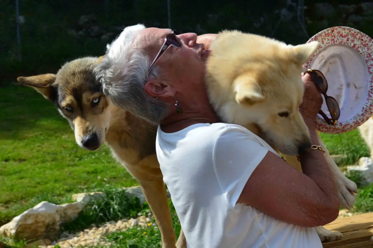 Visite de parc et immersion chiens de traineaux