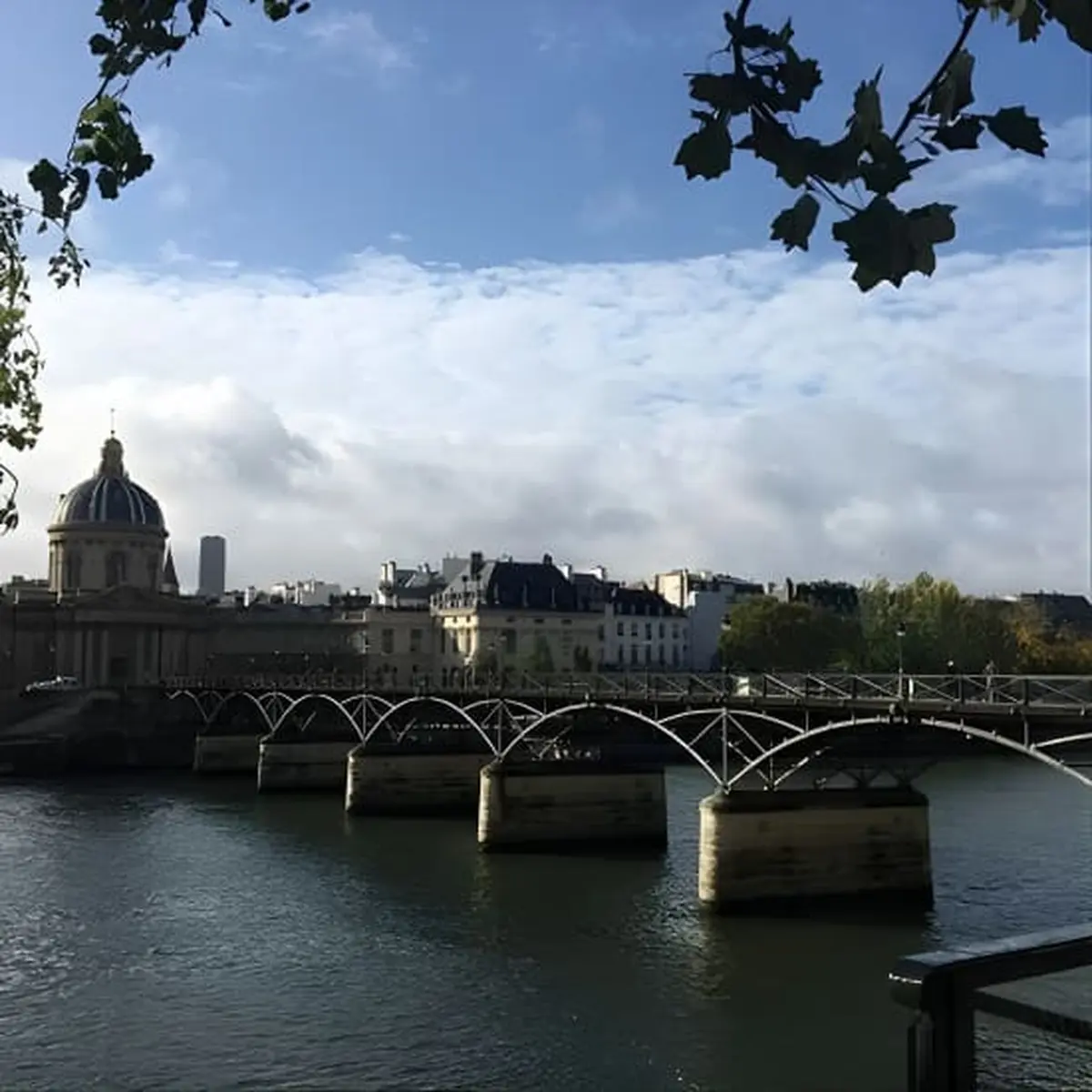 Visite de Paris en (petit) groupe avec un vrai guide en italien