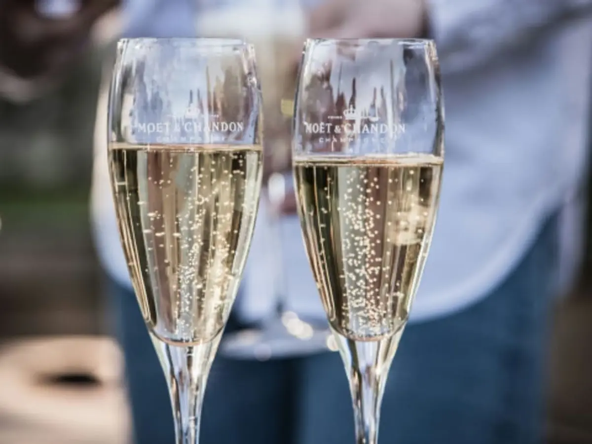 Visite de vignoble et dégustation de champagne à Reims (51)