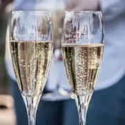 Visite de vignoble et dégustation de champagne à Reims (51)