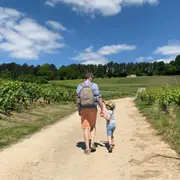 Visite de vignoble et pique-nique à Hermonville (51)