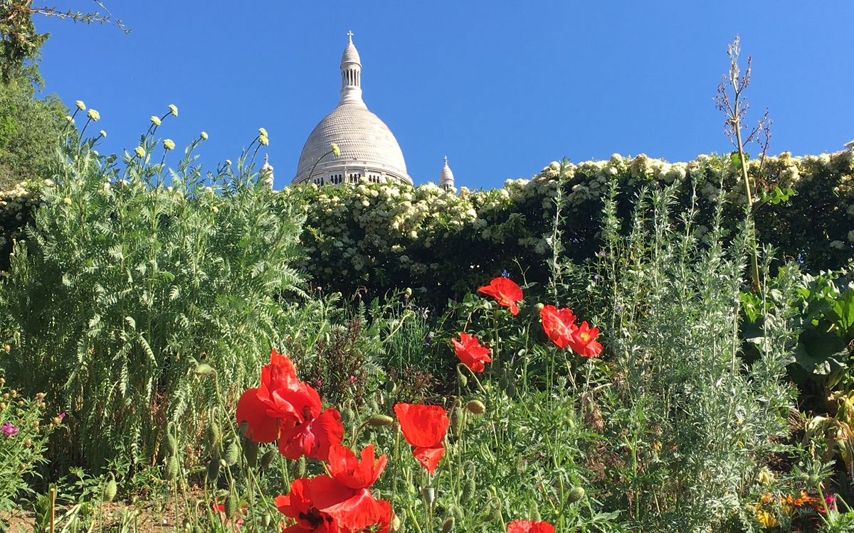 Visite Découverte botanique sur la Butte- Montmartre