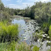 Visite découverte de la réserve