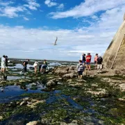«Visite découverte et sensibilisation sur les algues comestibles au phare de Cordouan» avec L. Dessimoulie