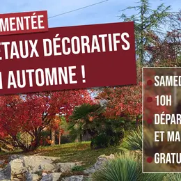 Visite : découvrez les végétaux décoratifs en automne !