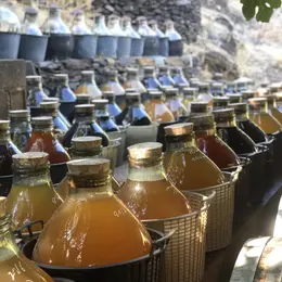 Visite-Degustation A La Vinaigrerie La Guinelle