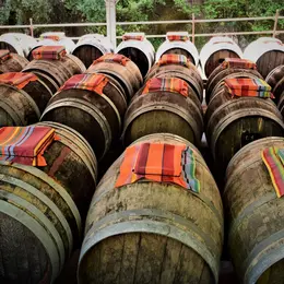 Visite-Degustation A La Vinaigrerie La Guinelle