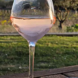 Visite dégustation  au  Domaine de Bélambrée
