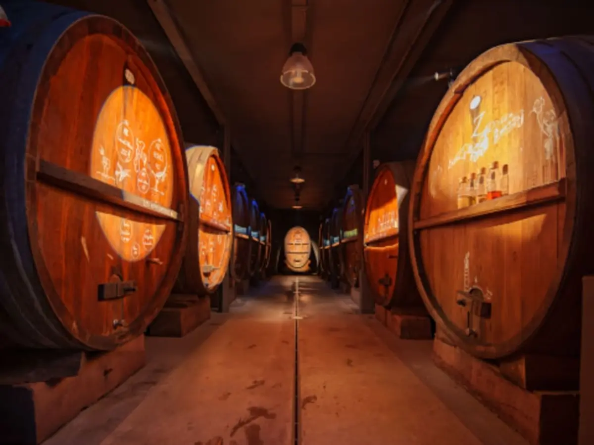 Visite, dégustation & repas alsacien au domaine Zeyssolff (67)