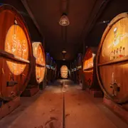 Visite, dégustation & repas alsacien au domaine Zeyssolff (67)