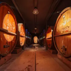Visite, dégustation & repas alsacien au domaine Zeyssolff (67)