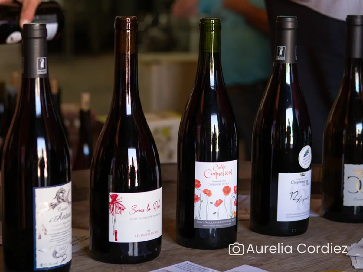 Visite-dégustation : Visite du domaine et histoire de l'appellation