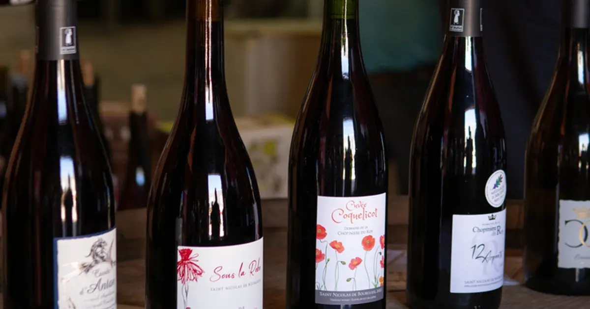 Visite-dégustation : Visite du domaine et histoire de l'appellation