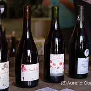 Visite-dégustation : Visite du domaine et histoire de l'appellation