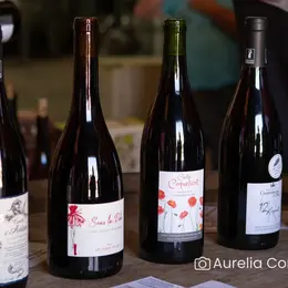 Visite-dégustation : Visite du domaine et histoire de l'appellation