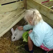 Visite des animaux - Ferme-musée du Cotentin